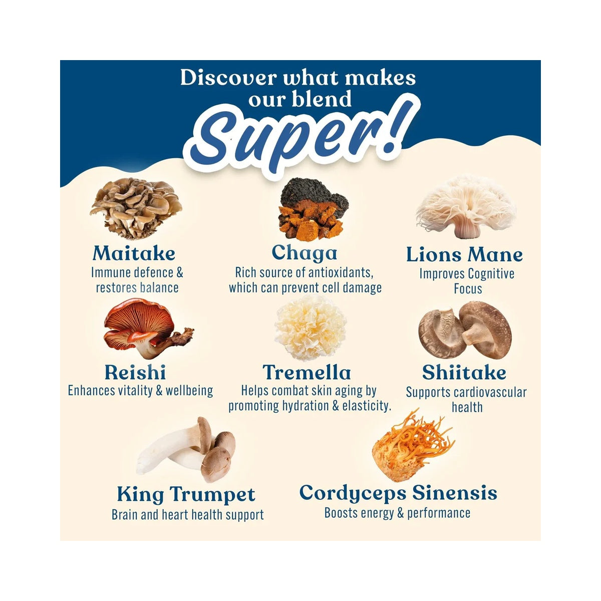 Applied Nutrition Mushroom Superblend