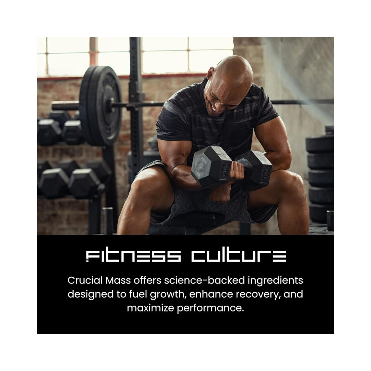 Fitness Culture Crucial Mass Premium Mass Gainer (6kg)